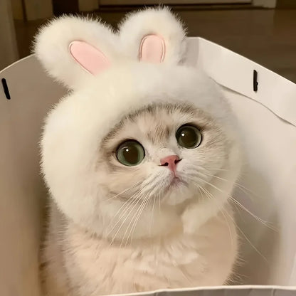 Knit Bunny Ears Hat for Cats & Dogs