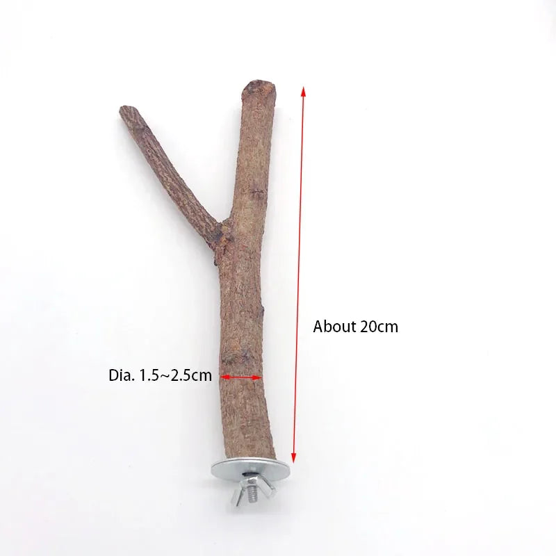 Natural Wood Branch Bird Perch