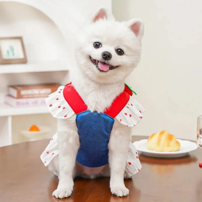 Strawberry Denim Dog Harness Dress