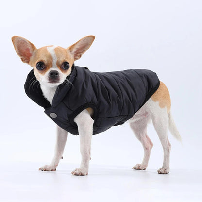 Windproof Padded Winter Dog Coat