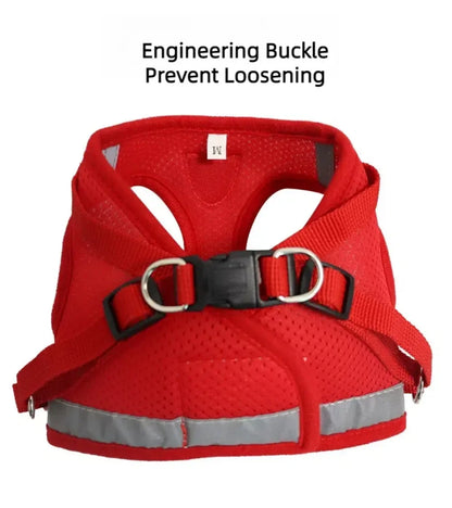 Reflective Escape-Proof Cat Harness Set