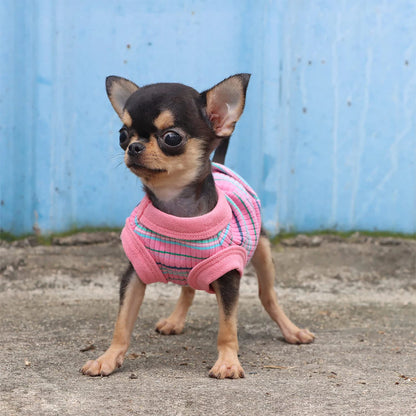 Ribbed Dog Tank Tee
