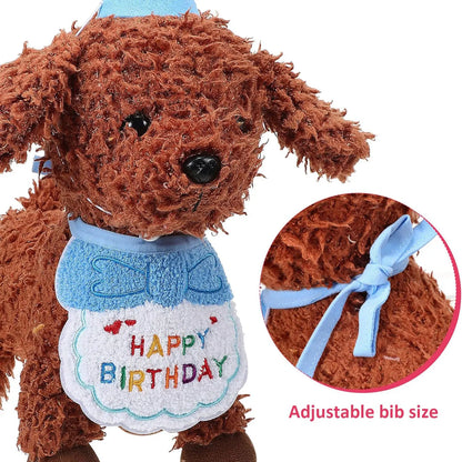 Dog Birthday Bandana & Party Hat Set