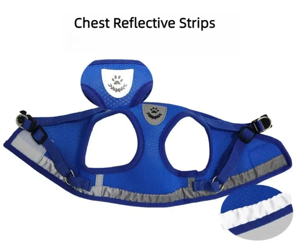 Reflective Escape-Proof Cat Harness Set