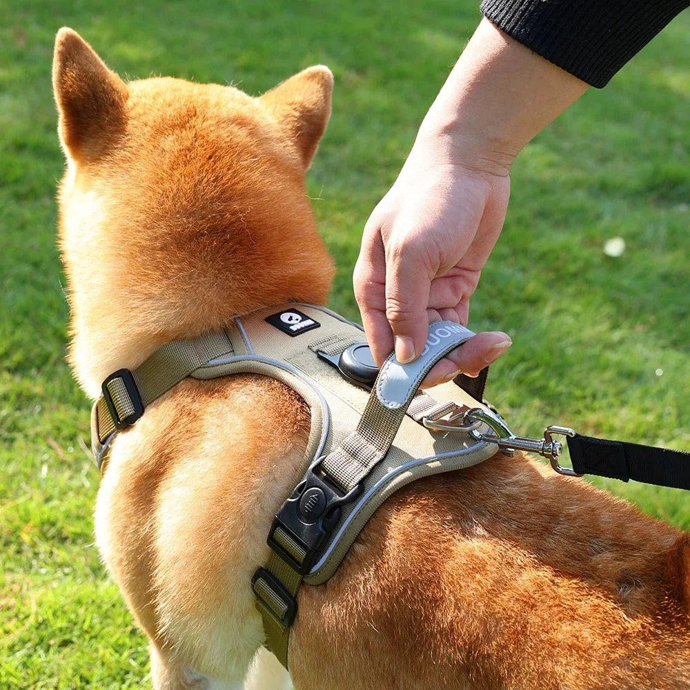Dog Harness & Leash Set with AirTag Holder
