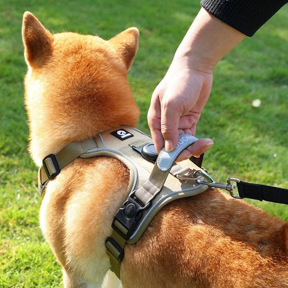 Dog Harness & Leash Set with AirTag Holder
