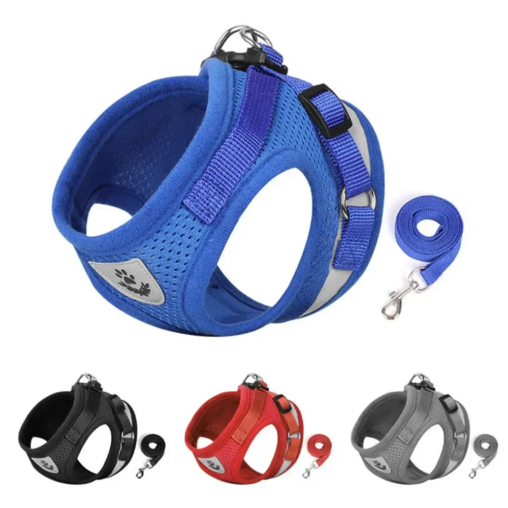 Reflective Escape-Proof Cat Harness Set
