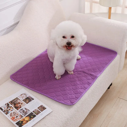 Reusable Washable Pee Pad