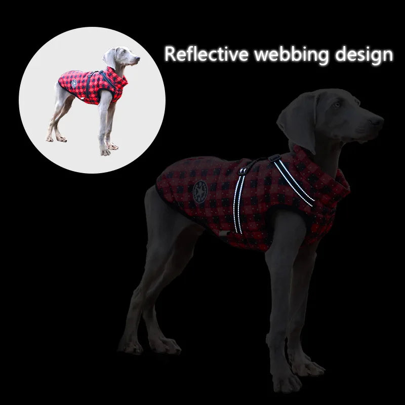 Winter Dog Jacket with Built-In Harness