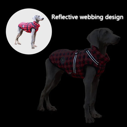 Winter Dog Jacket with Built-In Harness