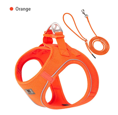 Reflective Dog Harness & Leash Set