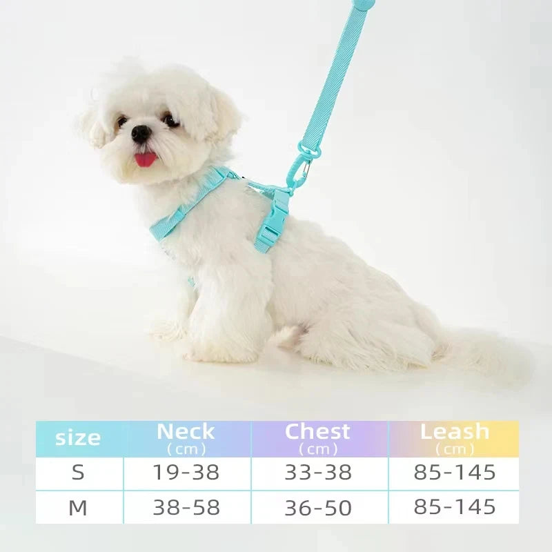 Macaron Dog Harness, Collar & Leash Set