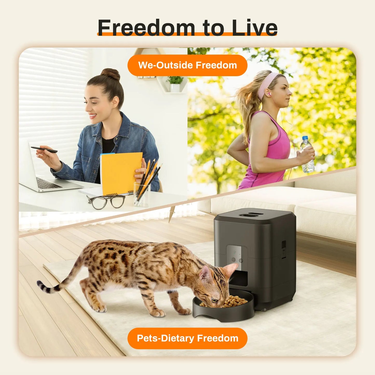 Automatic Timed Pet Feeder