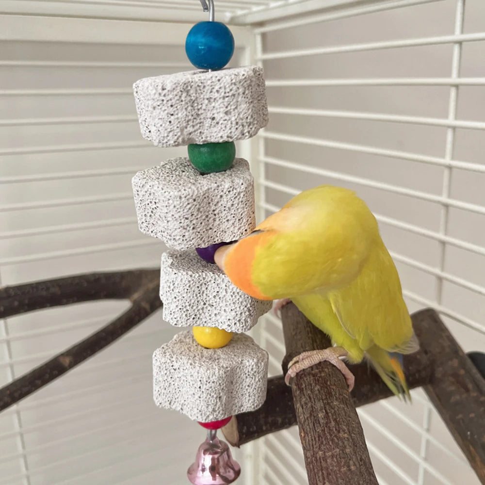 Volcanic Rock Beak Grinding Toy