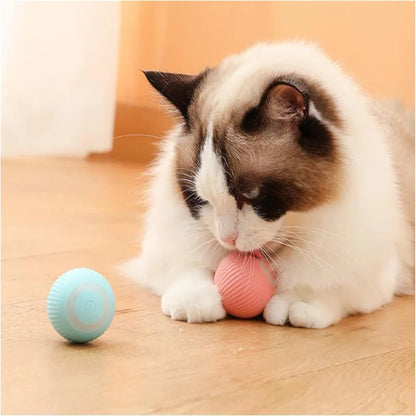 Automatic Rolling Cat Ball
