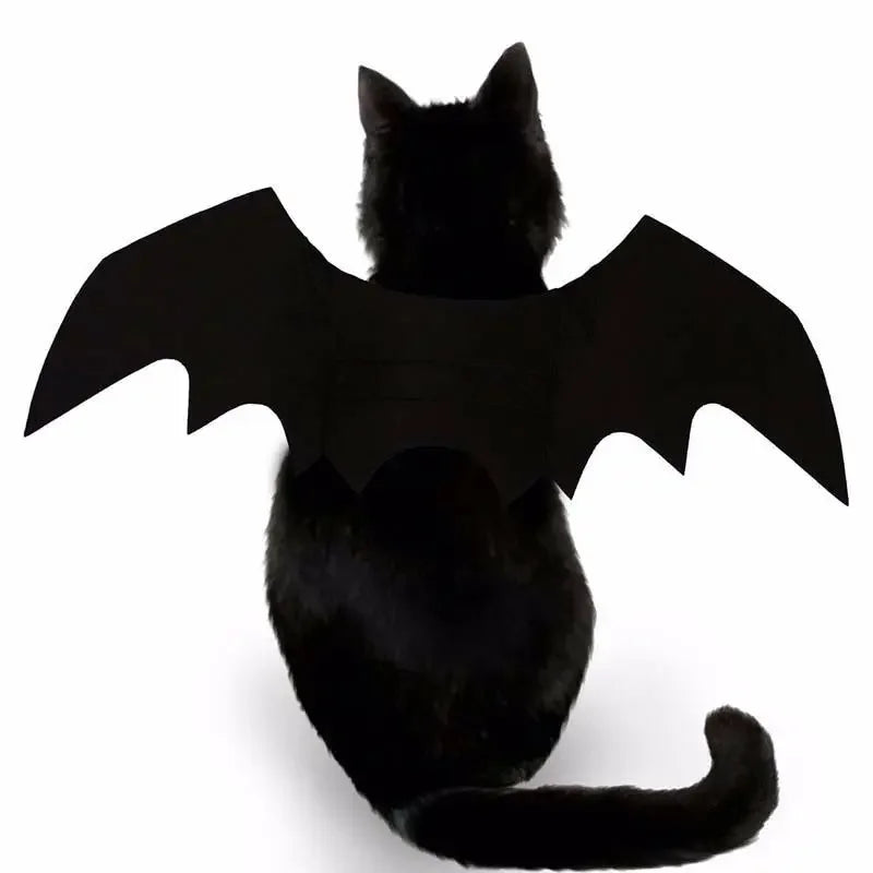 Halloween Bat Wings Pet Costume