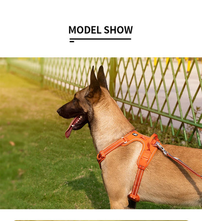 TRUE LOVE No-Pull Reflective Dog Harness