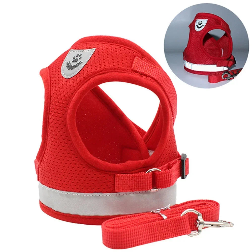 Reflective Escape-Proof Cat Harness Set