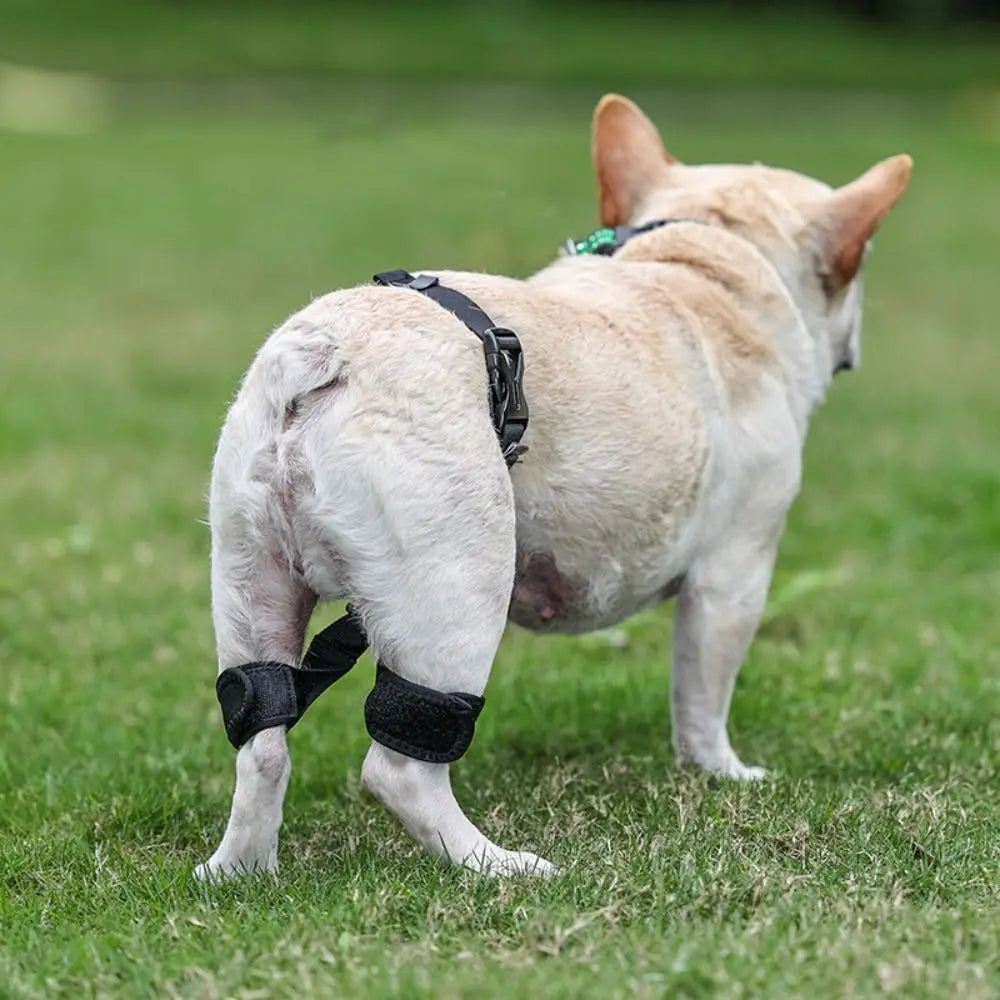 Dog Hip Brace & Hind Leg Support