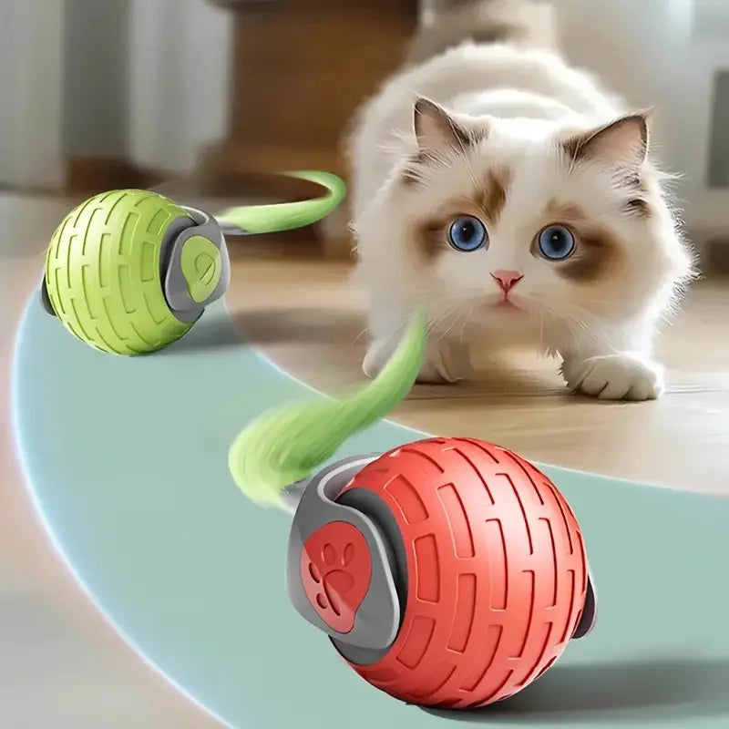 Automatic Rolling Cat Ball