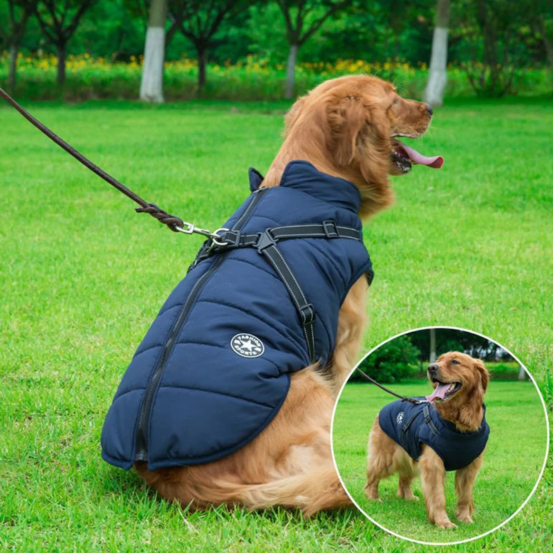 Winter Dog Jacket with Built-In Harness