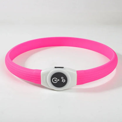 LED Light-Up Dog Collar