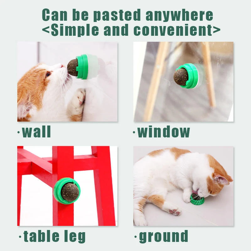 Lickable Catnip Ball Treats