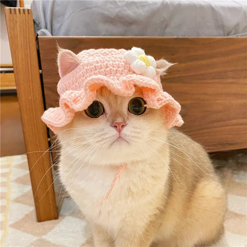 Knit Cat Photo-Prop Hat