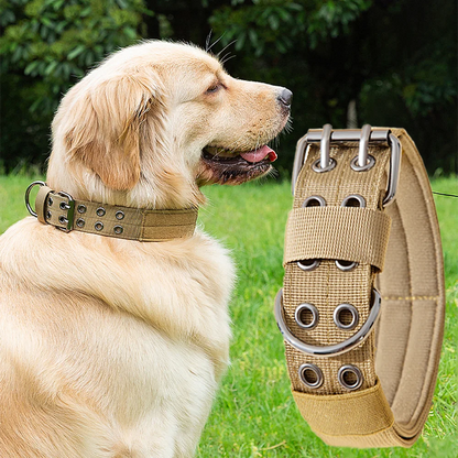 Military-Style Adjustable Dog Collar