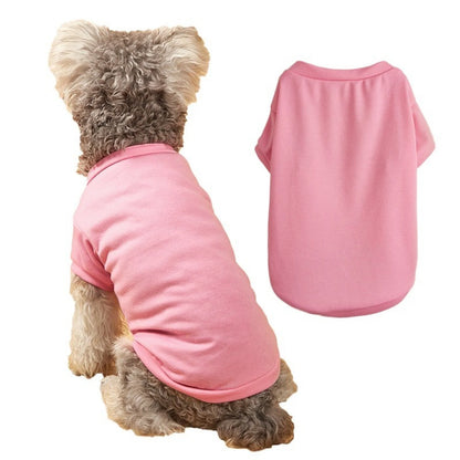 Solid Summer Dog Tee