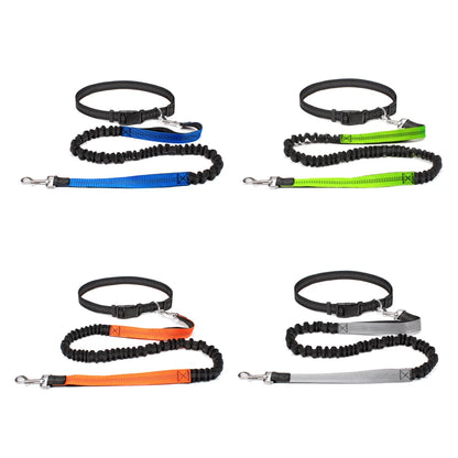 Hands-Free Dog Leash with Waist Belt