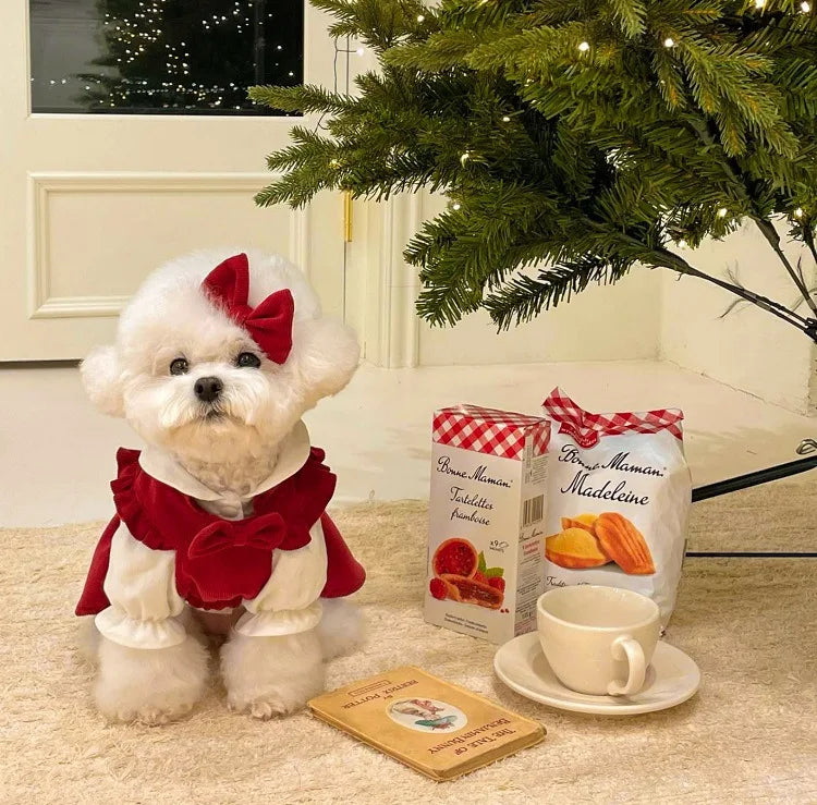 Christmas Princess Dog Dress