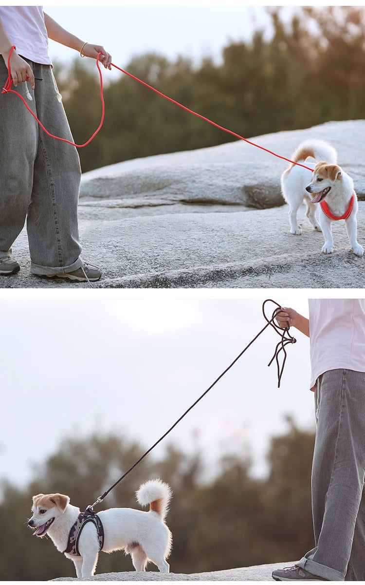 Reflective Dog Harness & Leash Set