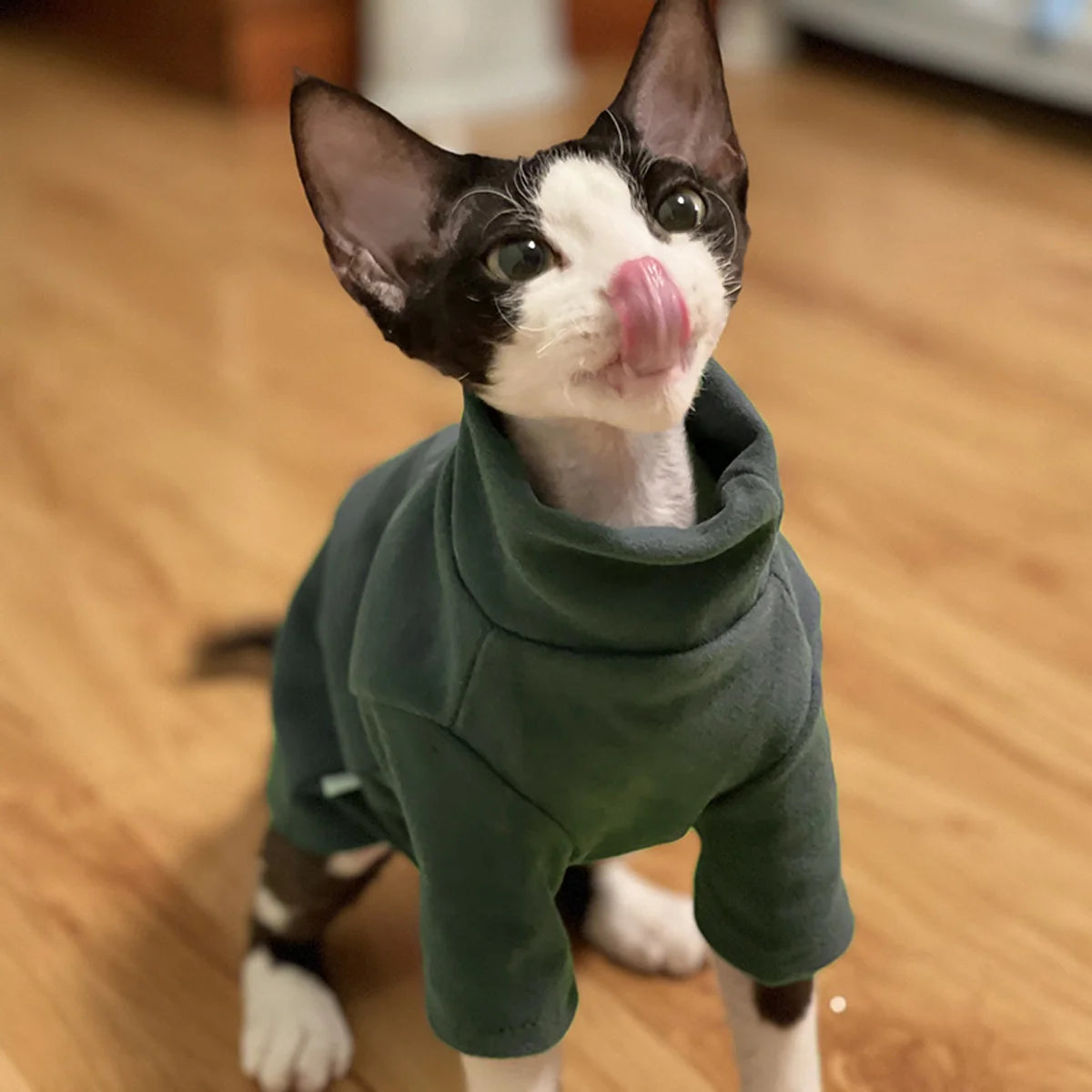 Soft Cotton Sphynx Cat Top