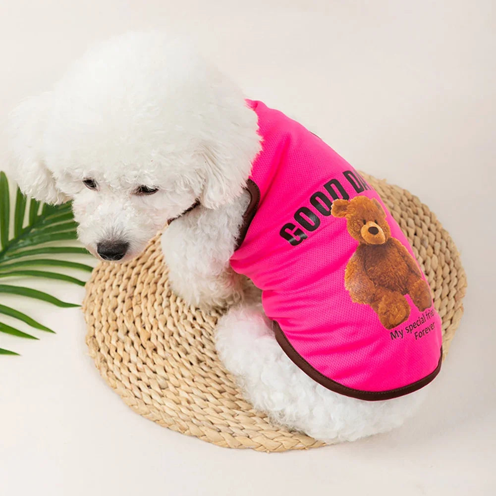 Bear-Print Dog & Cat Tee