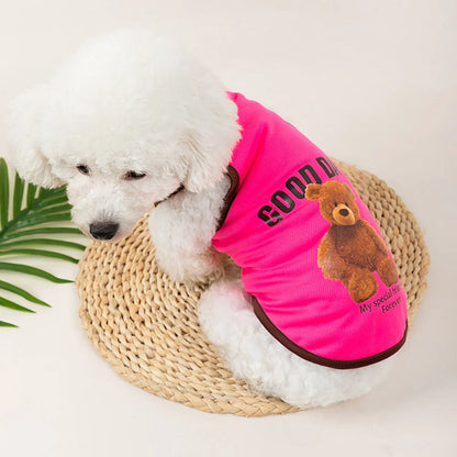 Bear-Print Dog & Cat Tee