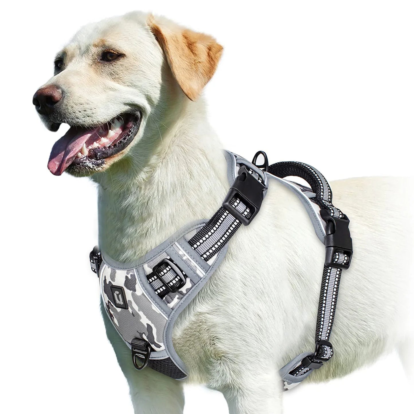 Padded No-Pull Dog Harness