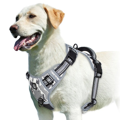 Padded No-Pull Dog Harness
