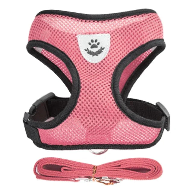 Mesh Cat & Dog Vest Harness Set