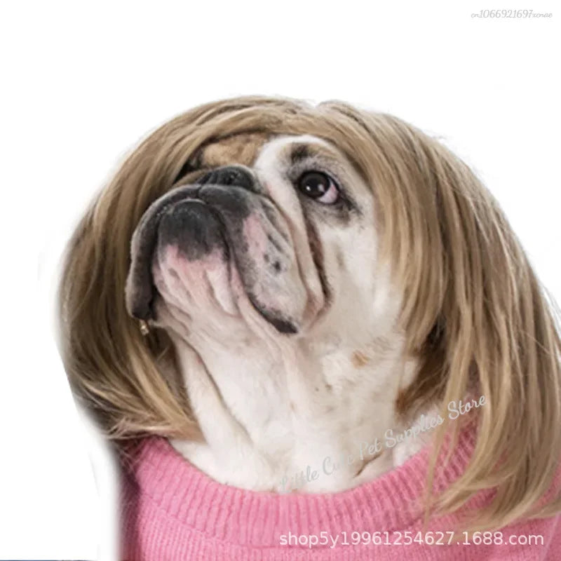 Funny Dog Cosplay Wig