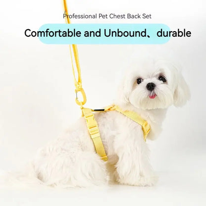 Macaron Dog Harness, Collar & Leash Set