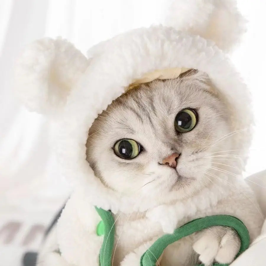 Bear & Rabbit Hooded Pet Hat