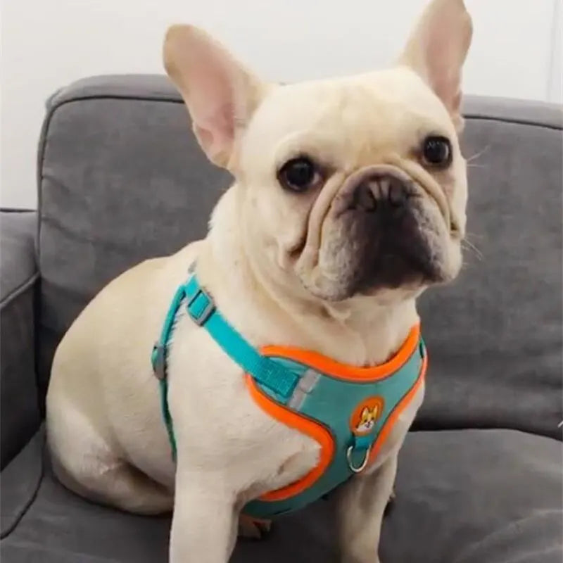 No-Pull Reflective Dog Harness