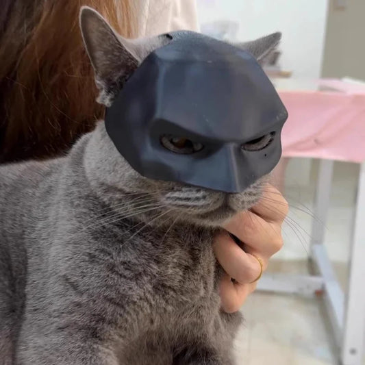 Bat Hero Pet Mask