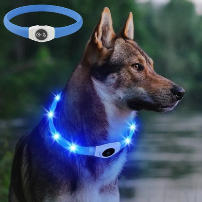 LED Light-Up Dog Collar