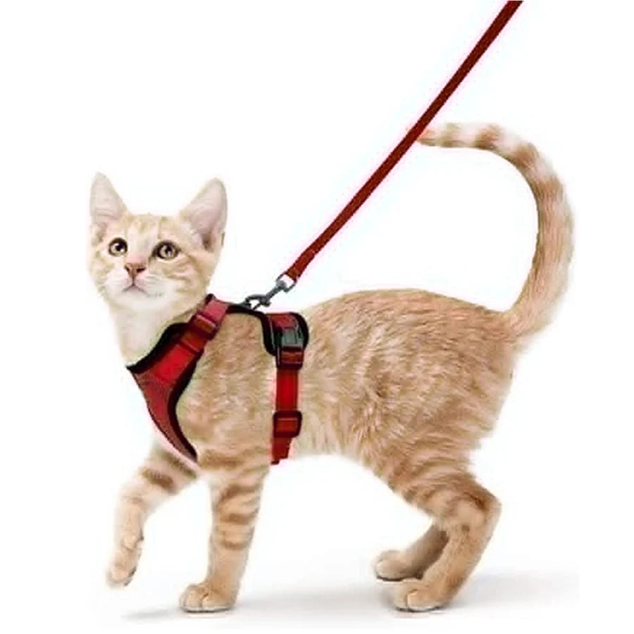 Soft Escape-Proof Cat Harness & Leash