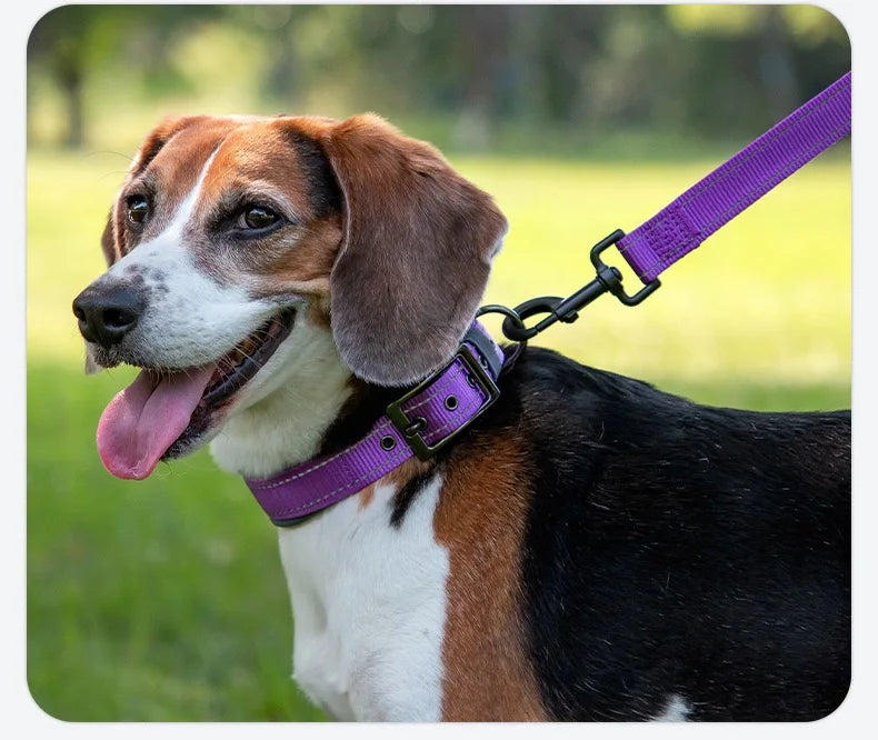 Padded Reflective Dog Collar