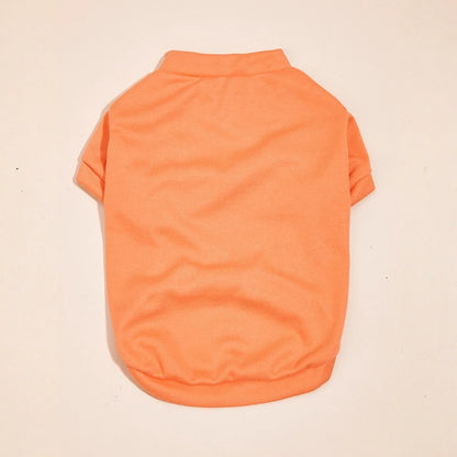 Solid Summer Dog Tee