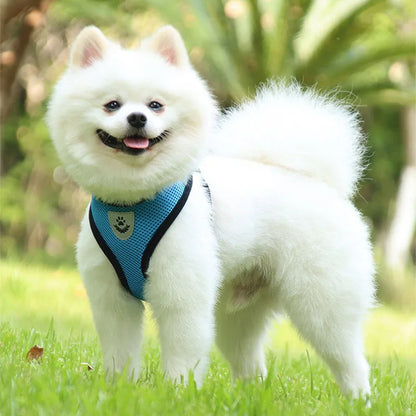 Anti-Escape Cat Vest Harness & Leash