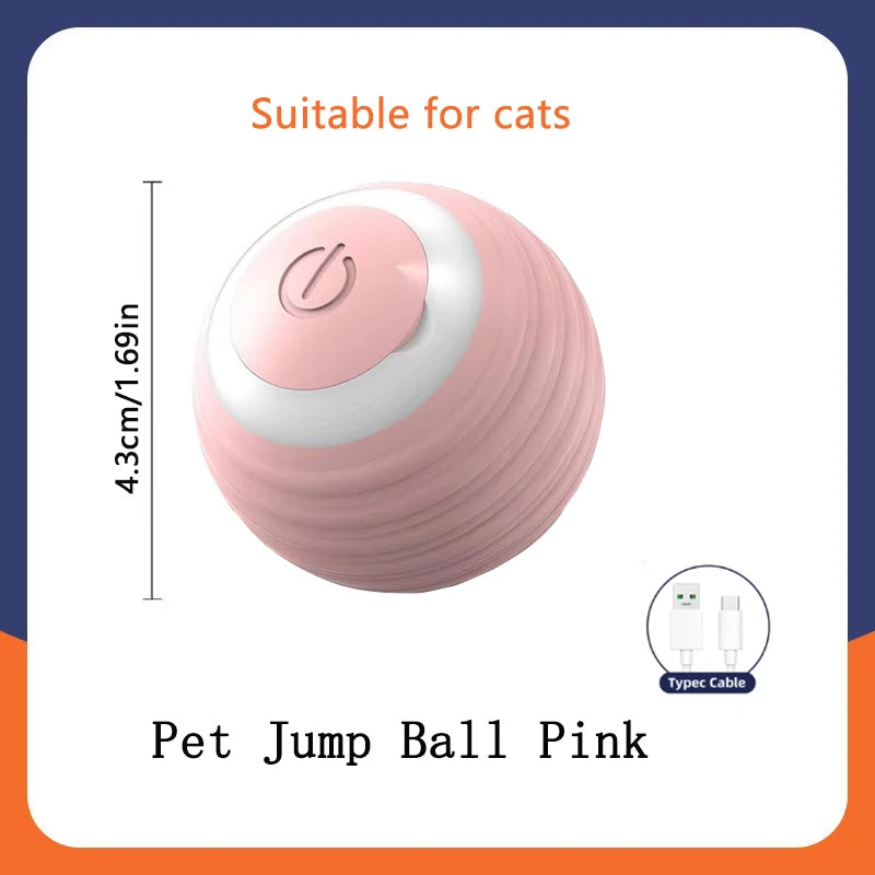 Automatic Rolling Cat Ball